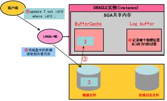 Oracle數(shù)據(jù)庫(kù)管理 深度剖析與優(yōu)化IO性能以提升數(shù)據(jù)庫(kù)服務(wù)