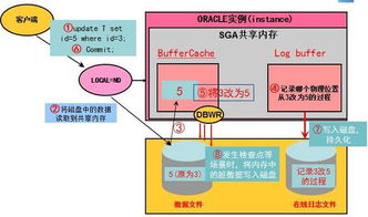 Oracle數(shù)據(jù)庫(kù)服務(wù)器IO性能瓶頸分析與實(shí)戰(zhàn)解決方案